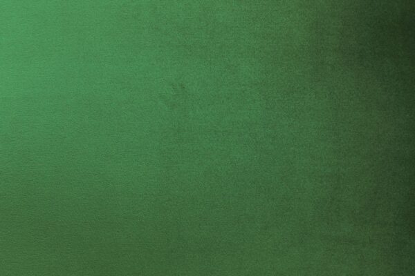 Scott Velvet 2 Seater - Green - Image 6