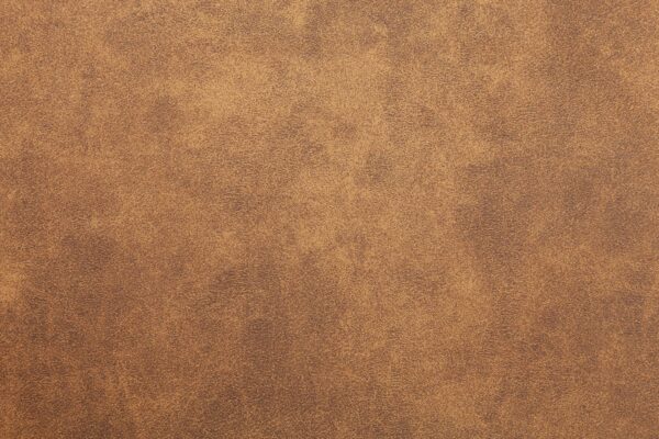 Oakland 2 Seater - Tan - Image 6